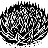 Plants Plants Thumbnail